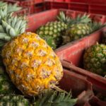 Type Of 15 Foods That Can Help You To loose Weight